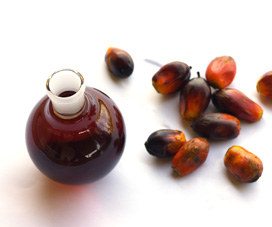 Organic Palm Kernel Oil Benefits